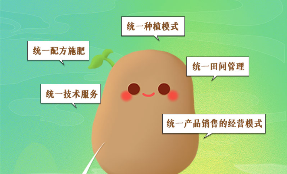 長圖丨甘肅馬鈴薯“升值記”：一顆土豆撬動(dòng)一個(gè)產(chǎn)業(yè)