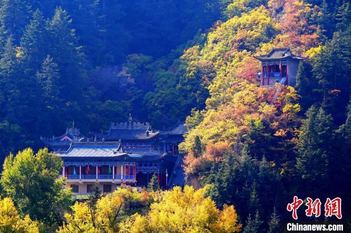 深秋，位于蘭州市榆中縣的興隆山景色如畫。宮衛(wèi)紅 攝