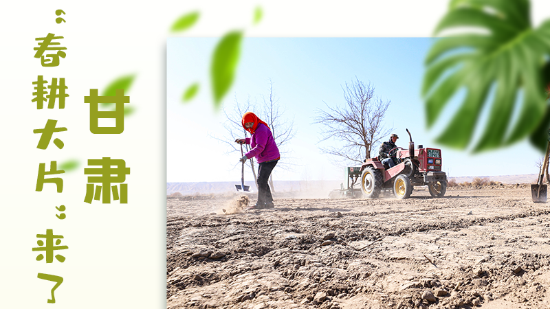 【甘快看】海報(bào)|瞧！甘肅“春耕大片”來(lái)了