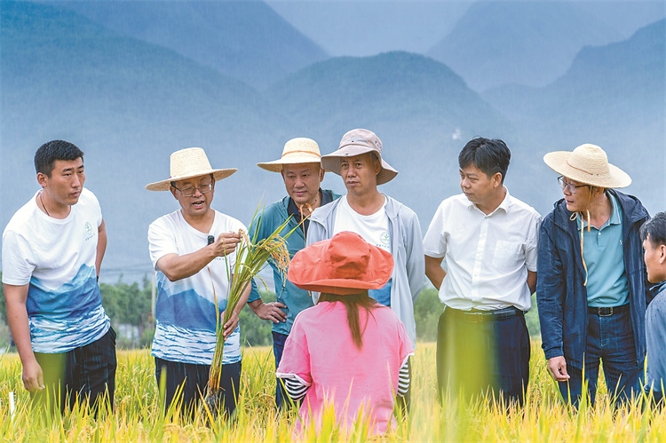 1717024532994685.jpg 20240530_072035_002.jpg