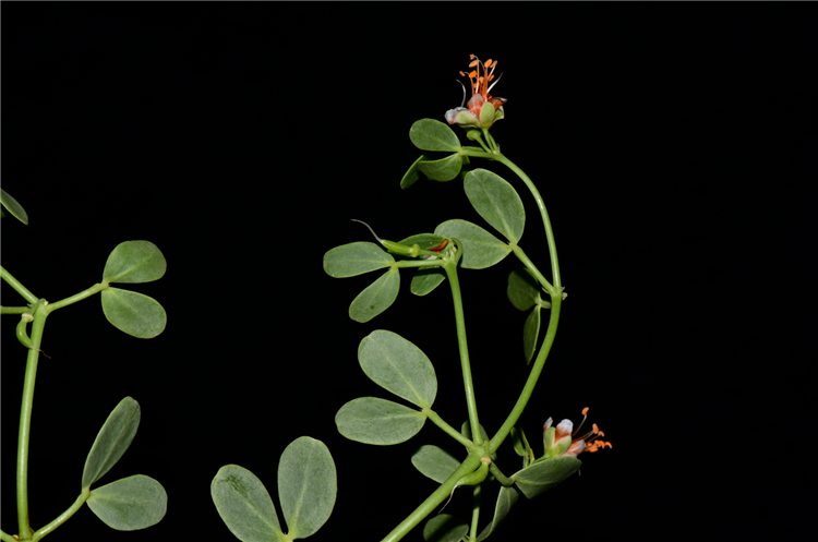 1719996050424618.png 4-2.png