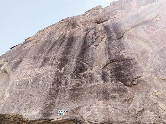 史前巖畫(huà)“現(xiàn)身”臨洮縣中鋪鎮(zhèn)