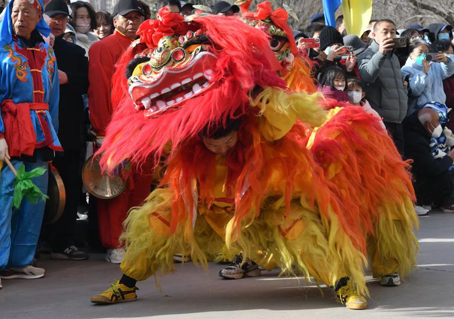蘭州北獅表演現(xiàn)場。受訪者供圖