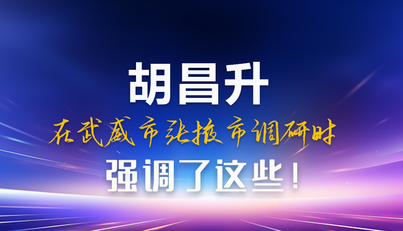 圖解|胡昌升在武威市張掖市調(diào)研時強(qiáng)調(diào)這些！