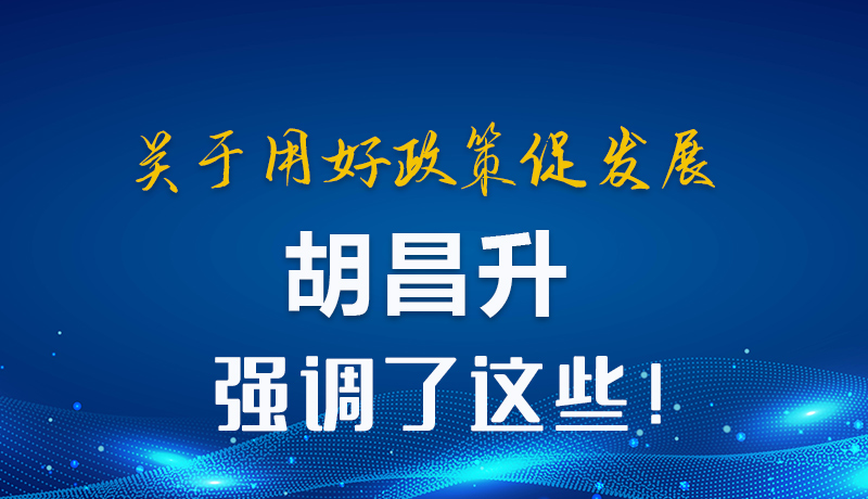 圖解|關(guān)于用好政策促發(fā)展 胡昌升強調(diào)了這些！